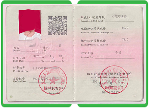 中专学历怎么快速搞定?手把手教你避开所有坑